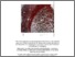 [thumbnail of Tyler_BOLDcomponents_BR2008.pdf]