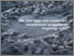 [thumbnail of Slides]