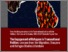 [thumbnail of Thematic Report Two - The Engagement of Refugees in Transnational Politics Lessons from the Migration, Diaspora and Refugee Studies Literature.pdf]