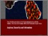 [thumbnail of Thematic Report Three - Asylum, Security and Extremism.pdf]