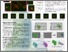 [thumbnail of isbi2018 2.pdf]
