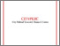 [thumbnail of CITYPERC-WPS-2013_03.pdf]