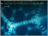 [thumbnail of Longevity QA with David Blake.pdf]