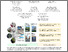 [thumbnail of 3772318.3790541.pdf]